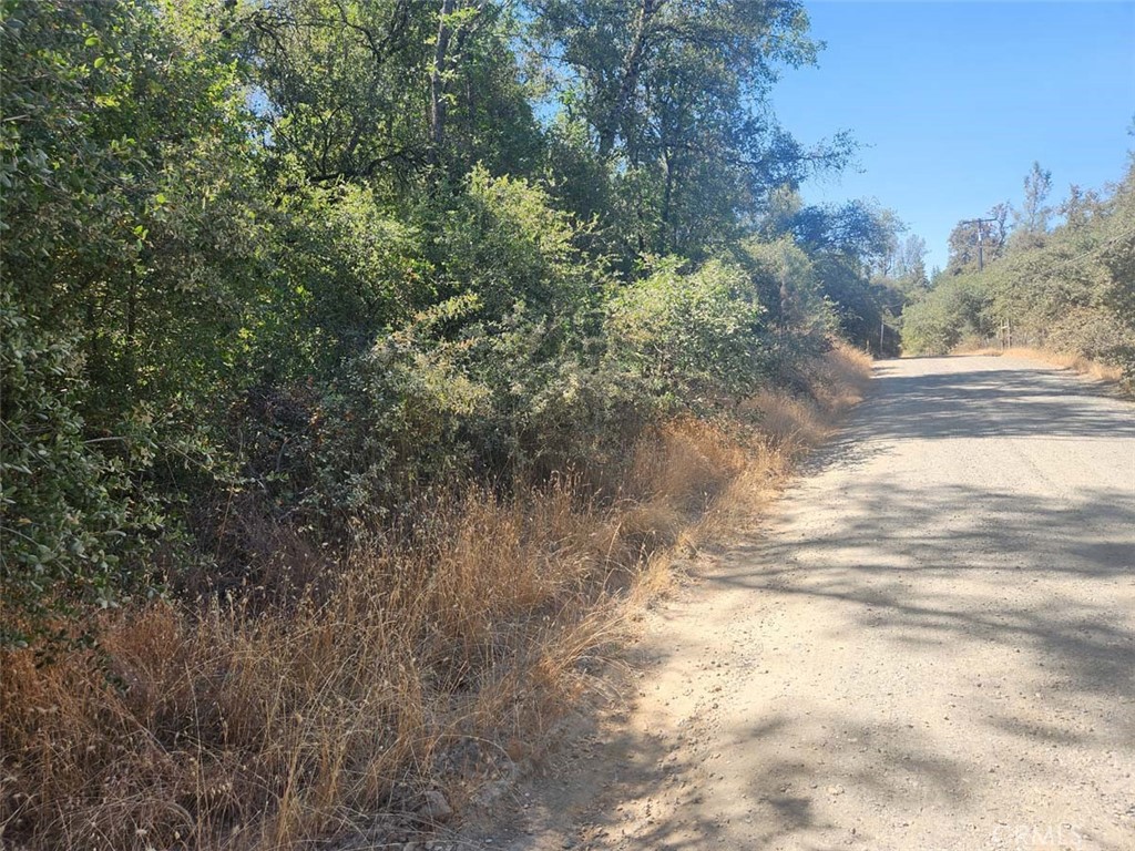 047-048 Texas Hill Road Oregon House, CA 95962 - Photo 14 of 34 a view of a yard with a tree