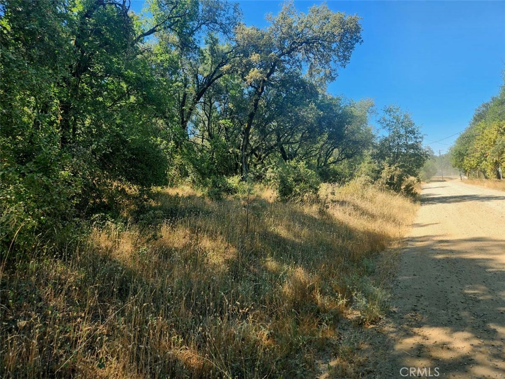 047-048 Texas Hill Road Oregon House, CA 95962 - Photo 20 of 34 a view of a lake view