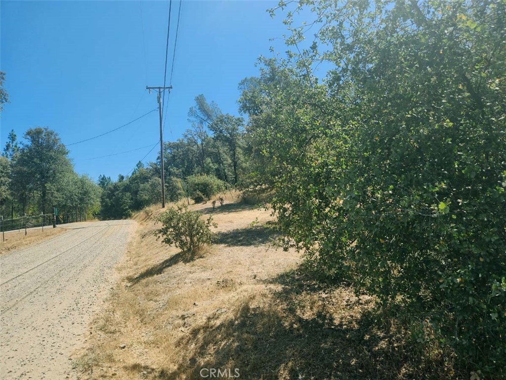 047-048 Texas Hill Road Oregon House, CA 95962 - Photo 22 of 34 a view of a yard with trees
