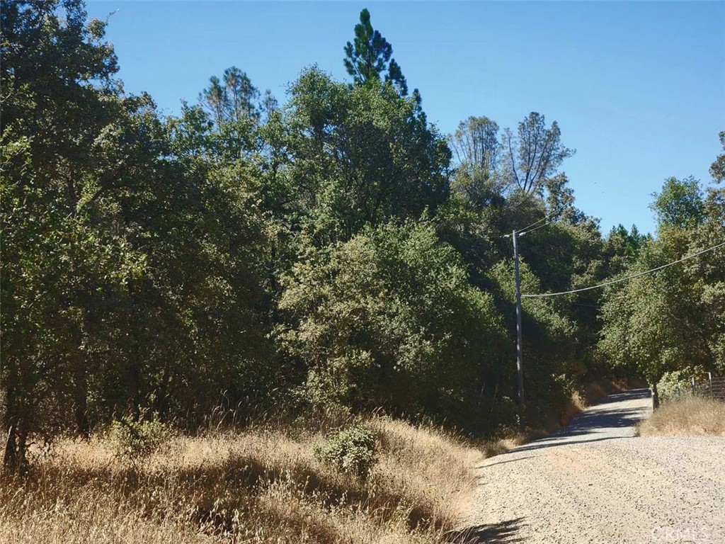 047-048 Texas Hill Road Oregon House, CA 95962 - Photo 23 of 34 a view of a yard