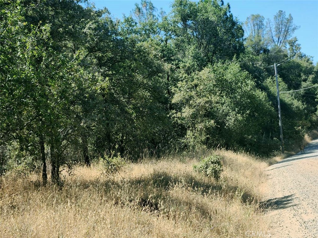 047-048 Texas Hill Road Oregon House, CA 95962 - Photo 24 of 34 a view of a lush green forest with lots of trees