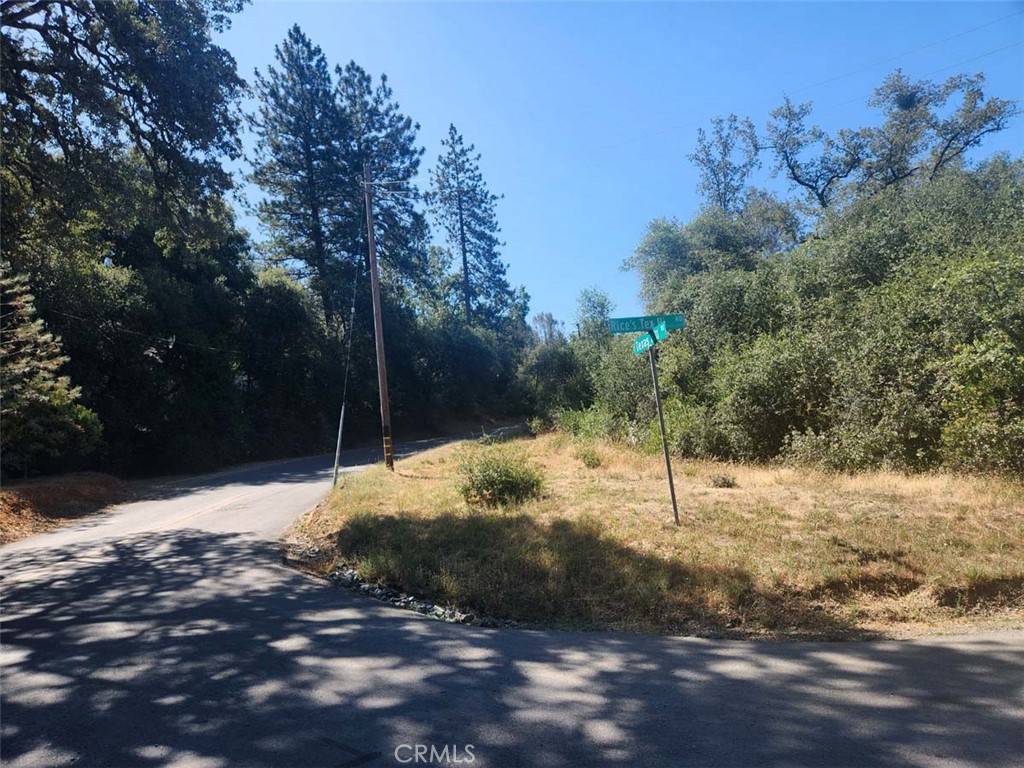 047-048 Texas Hill Road Oregon House, CA 95962 - Photo 5 of 34 a view of a yard with trees