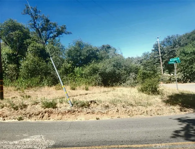 a view of a yard with a tree