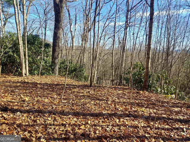 $57,000 | 14-15 Honey Bear, Dillard, GA 30537