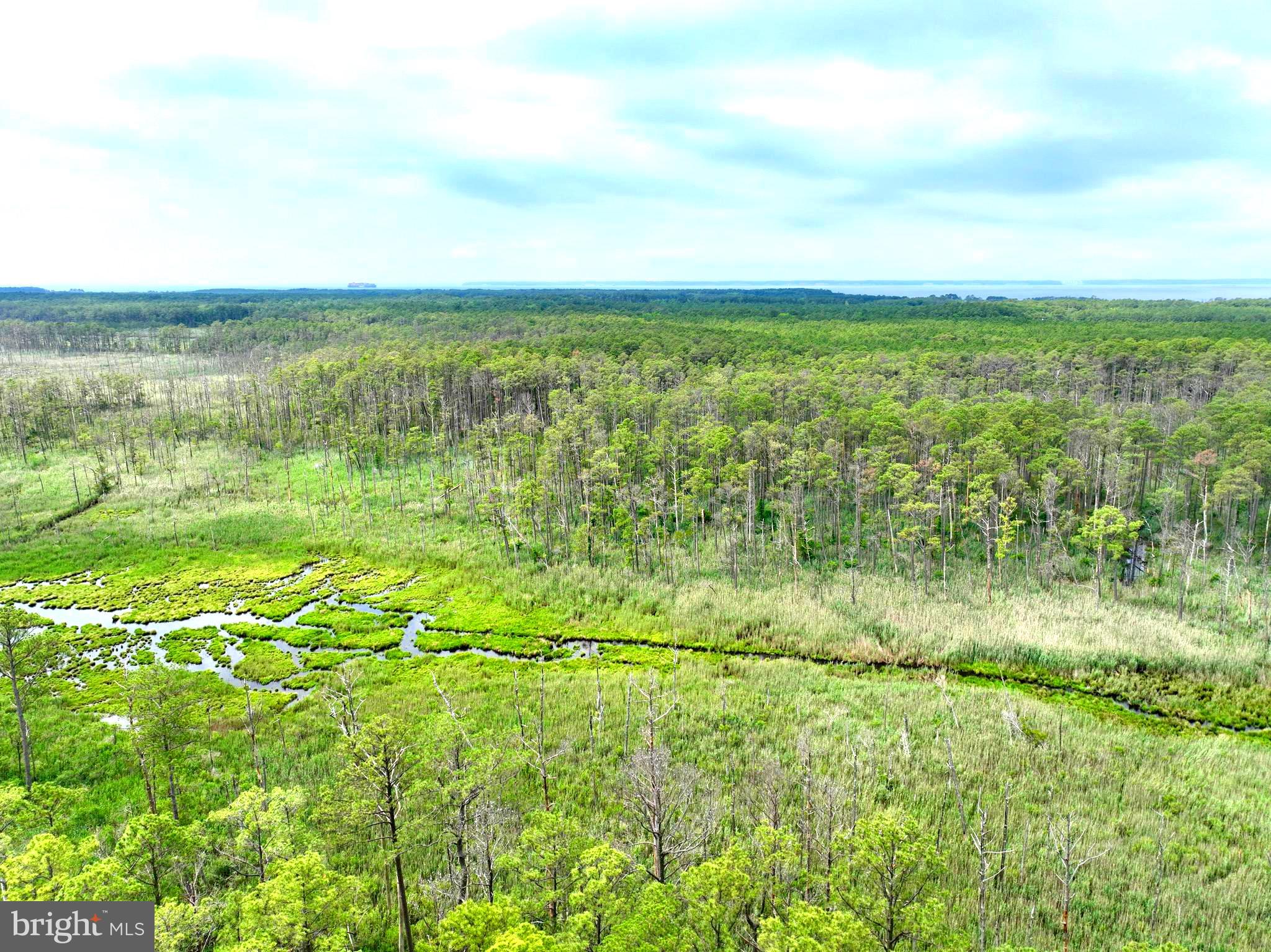 0 Hooper Neck Road Madison, MD 21648 - Photo 31 of 129