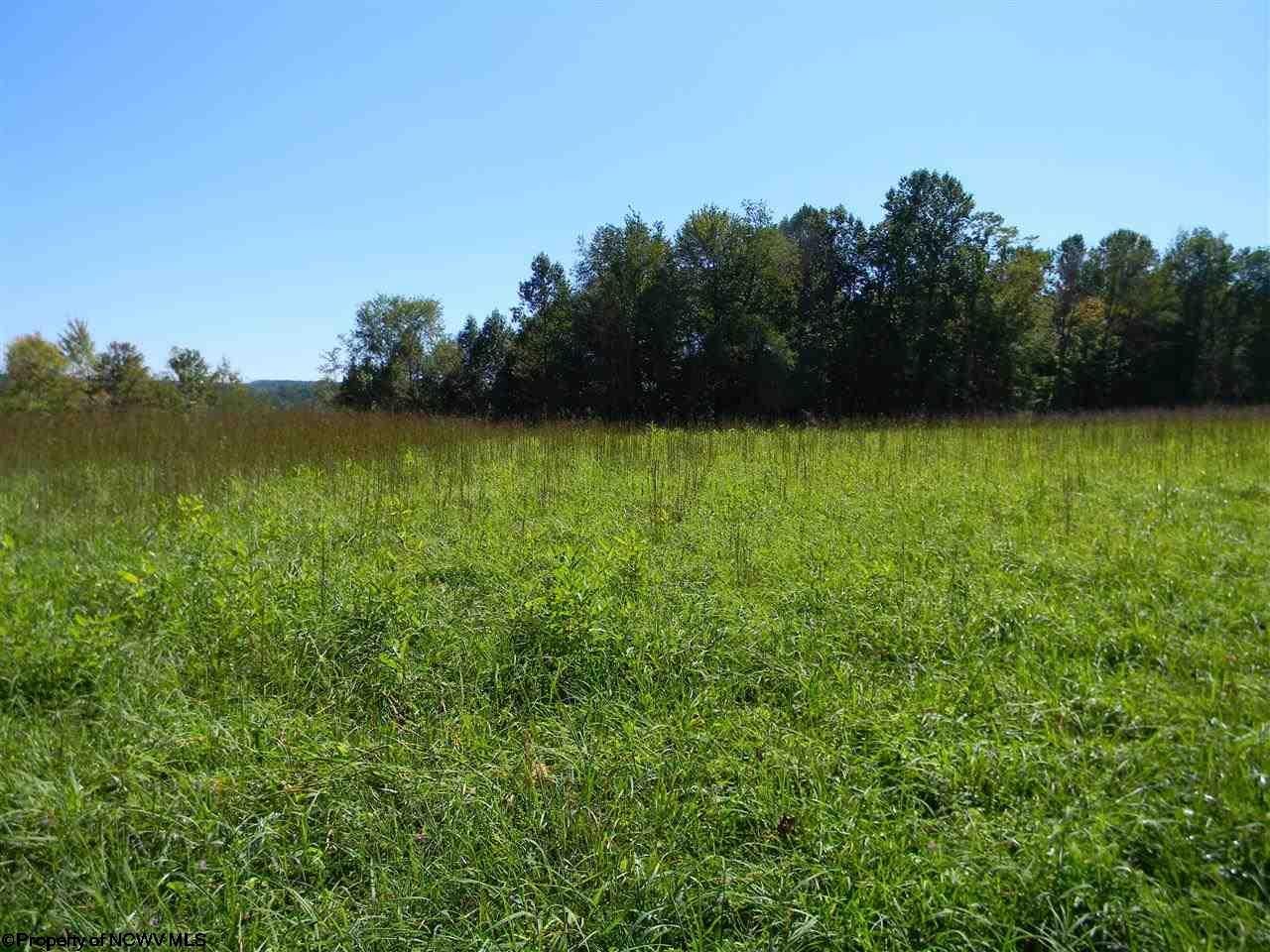 200 Pat Cale Road Masontown, WV 26542 - Photo 9 of 19 Gallery Image 9