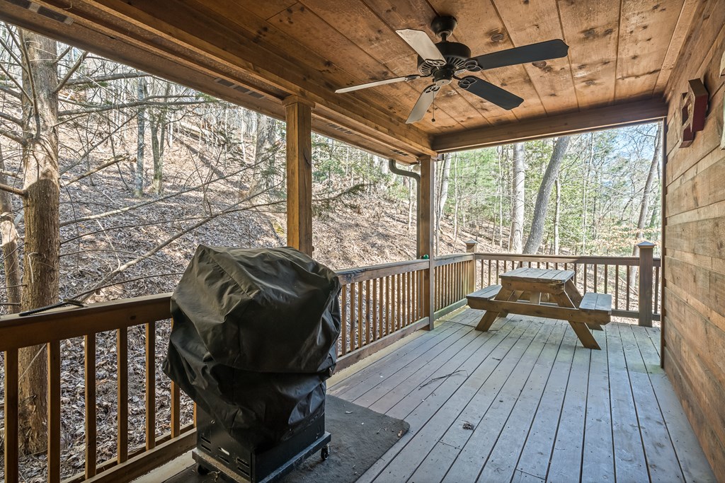 30 Gothic Court Ellijay, GA 30540 - Photo 18 of 59 Gallery Image 18
