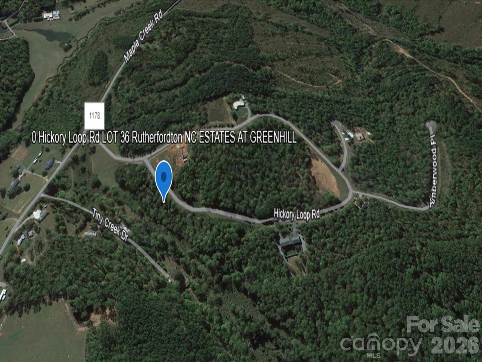 0 Hickory Loop Road, Unit LOT 36 Tryon, NC 28782 - Photo 7 of 8