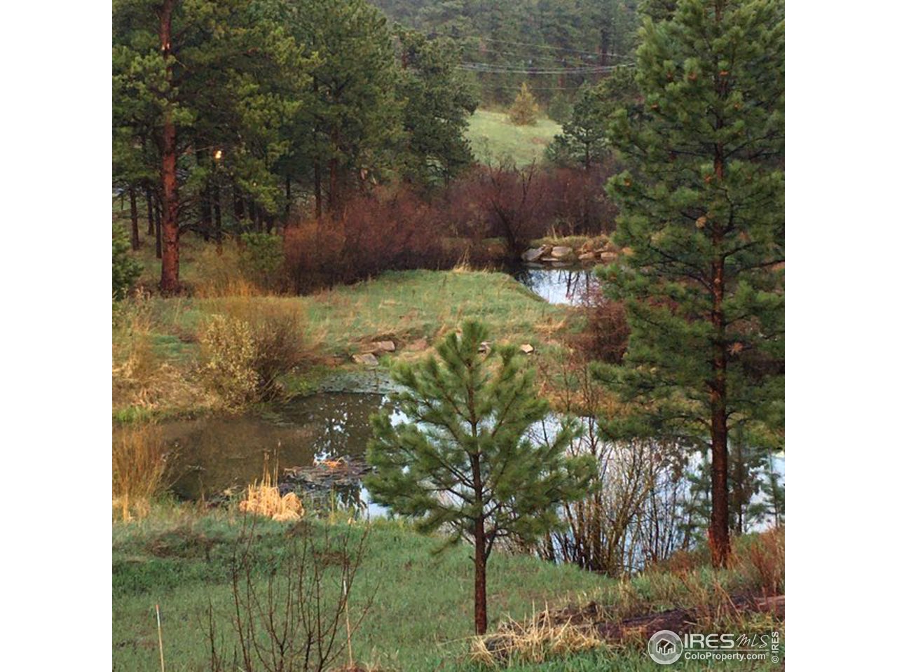 2725 Stove Prairie Road Bellvue, CO 80512 - Photo 39 of 40 Inspiring Ponds