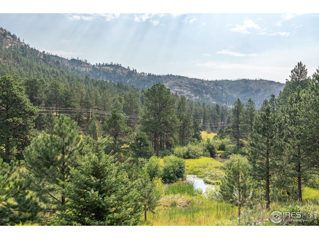 2725 Stove Prairie Road Bellvue, CO 80512 - Photo 40 of 40 Come to Your Oasis