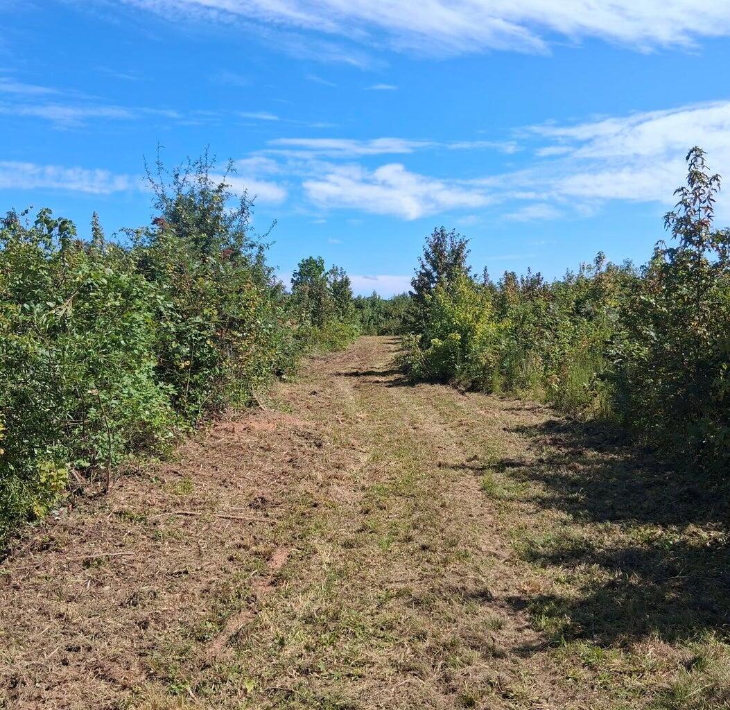 5 A Bowie Road Troy, SC 29848 - Photo 2 of 5 Bowie 2