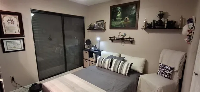 a view of a park with large trees