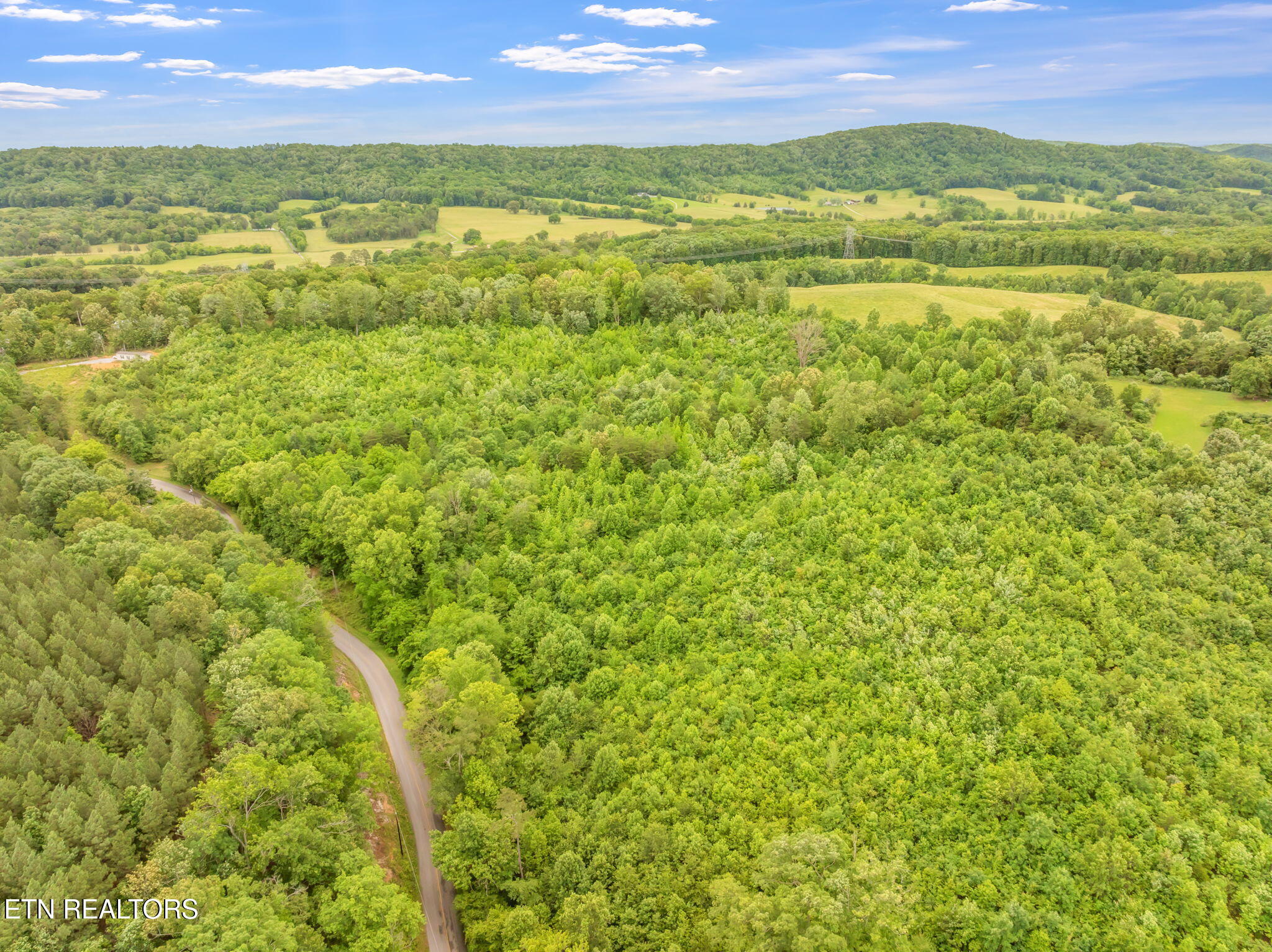 0 Grigsby Hollow Road Kingston, TN 37763 - Photo 22 of 34 24-web-or-mls-Grigsby Hollow Land-20