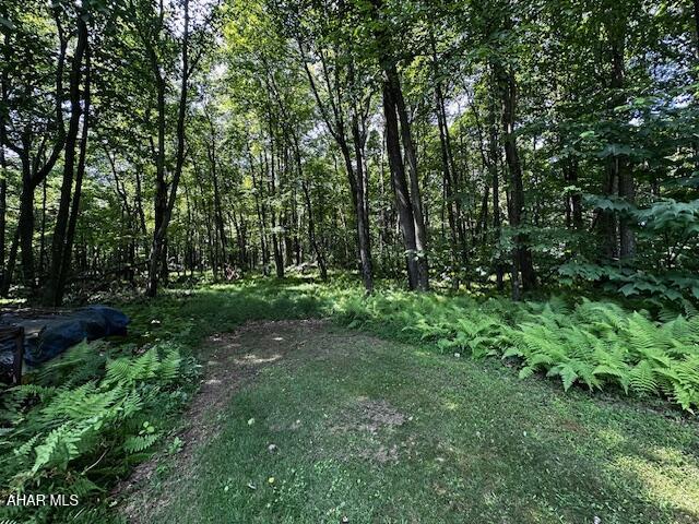 538 Two Mile Road Howard, PA 16841 - Photo 10 of 20