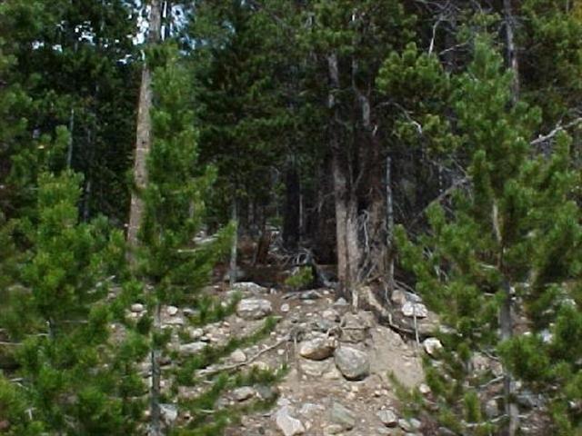 26 Vista Road Idaho Springs, CO 80452 - Photo 1 of 1 Gallery Image 1