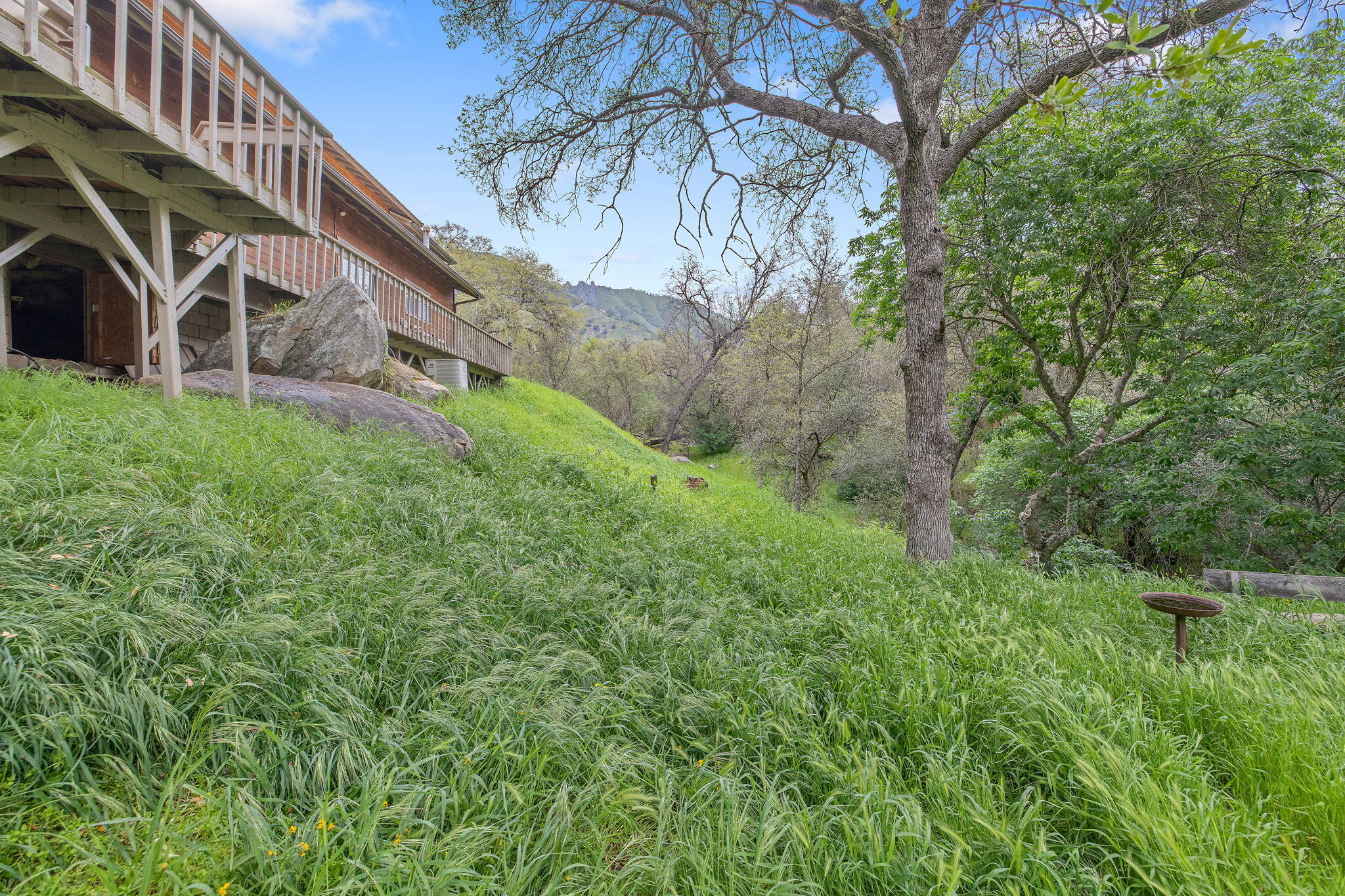 43677 Washburn Drive Three Rivers, CA 93271 - Photo 73 of 80 85-web-or-mls-713A9698