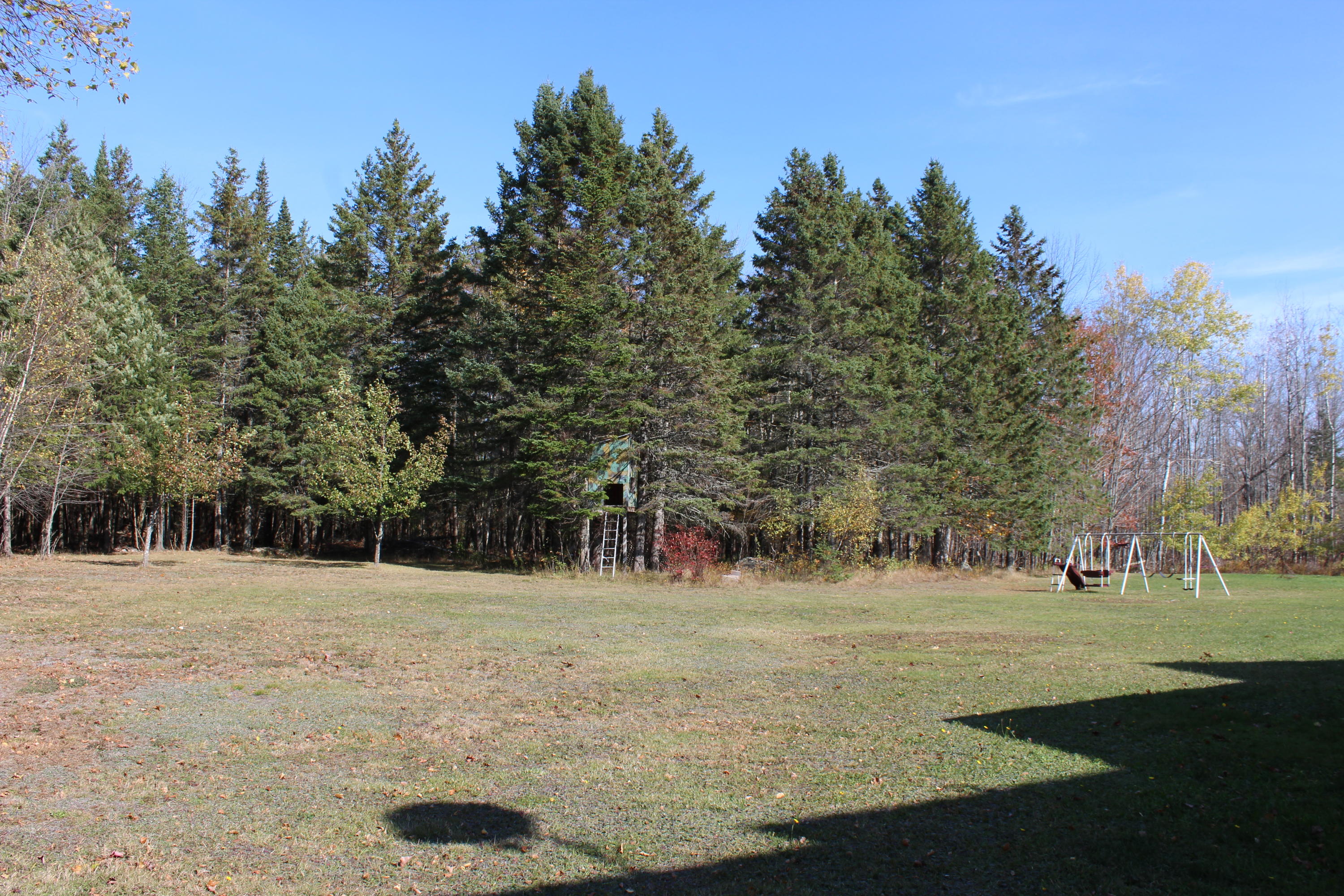 717 Tate Road Corinth, ME 04427 - Photo 47 of 57 backyard