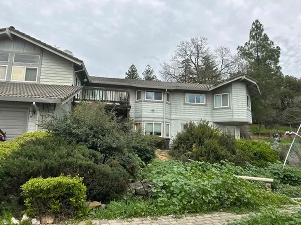 a front view of a house with plants and trees