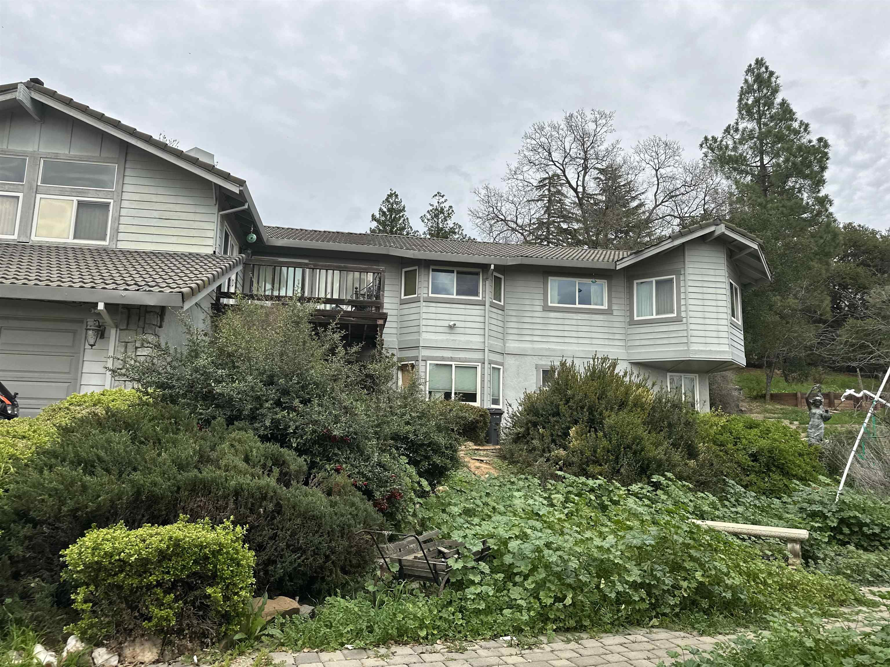 a front view of a house with plants and trees