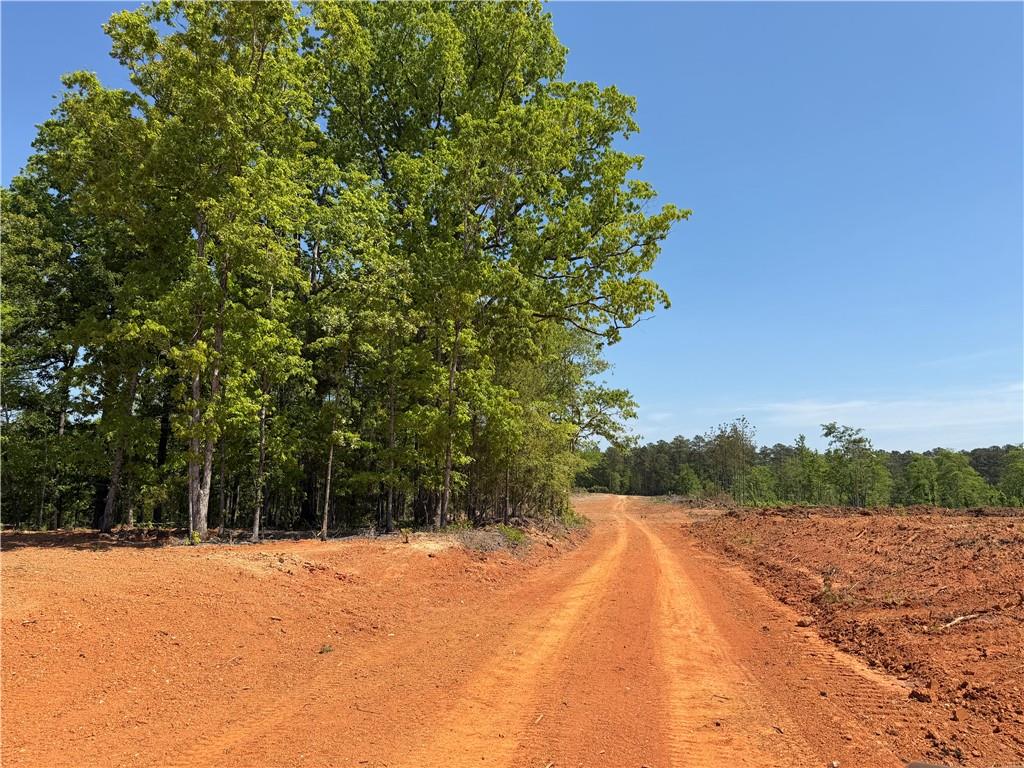 1000 Hidden Harbor Road Lincolnton, GA 30817 - Photo 18 of 45 Gallery Image 18