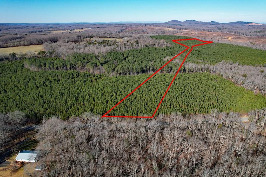 600 Plank Road, Unit 3 Dillwyn, VA 23936 - Photo 1 of 26 Gallery Image 1