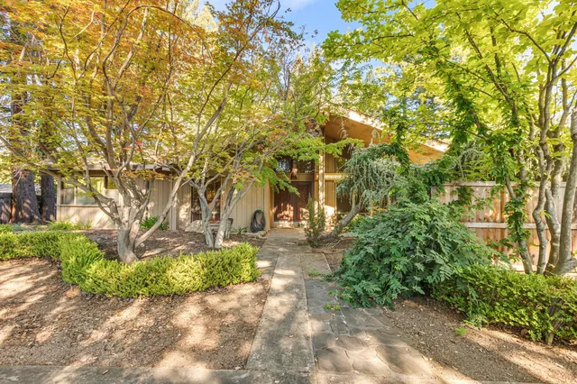 a view of a yard with plants and trees