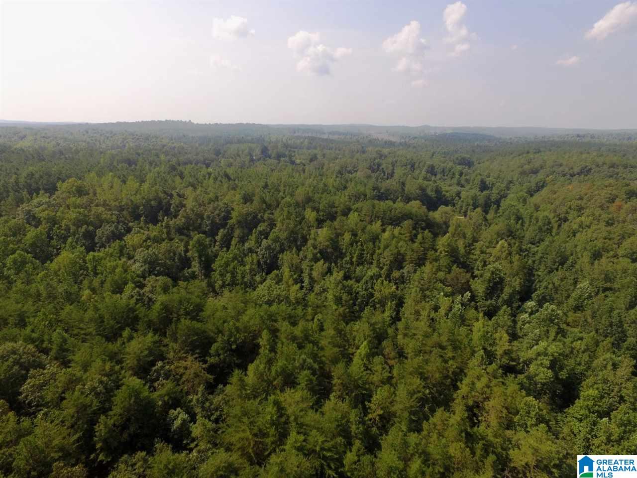 2329 Smith Mill Road, Unit 78 AC Delta, AL 36258 - Photo 13 of 16 Gallery Image 13