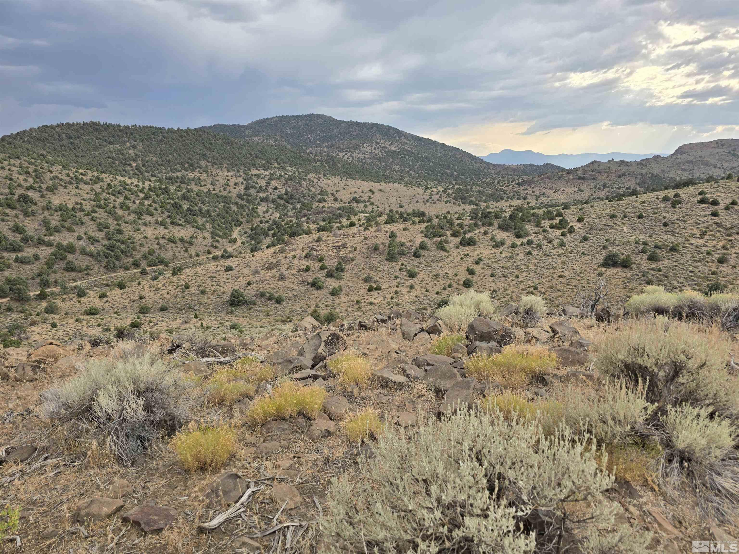 0 4-221-19 Reno, NV 89521 - Photo 3 of 12 Photo 3