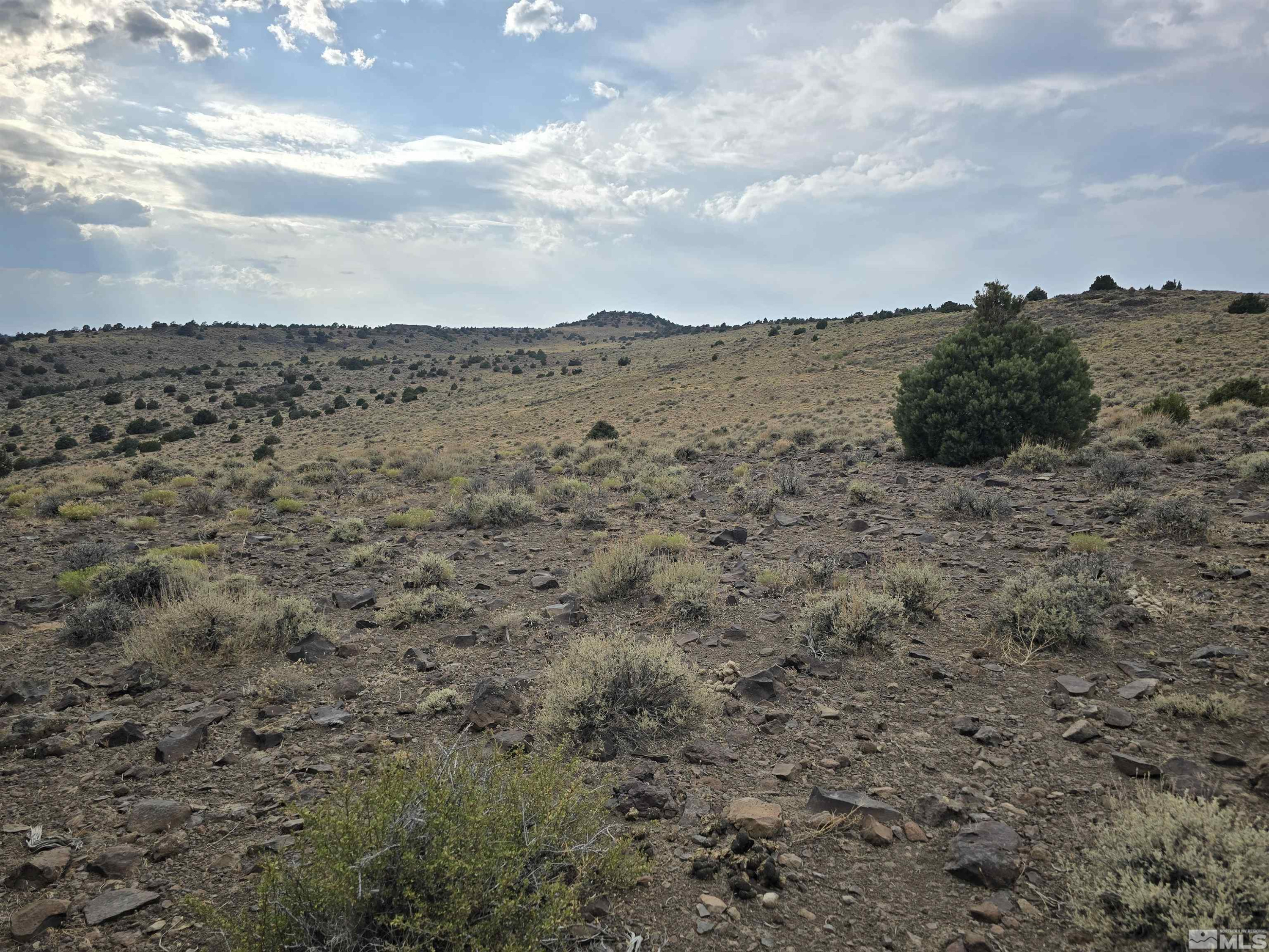0 4-221-19 Reno, NV 89521 - Photo 8 of 12 Photo 8