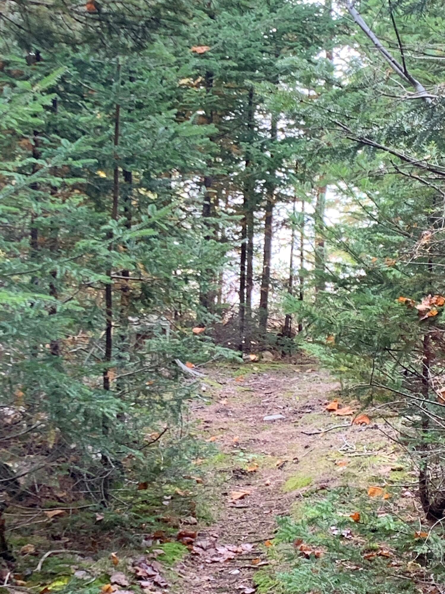 605 Garnet Head Road Pembroke, ME 04666 - Photo 30 of 55 IMG_3185