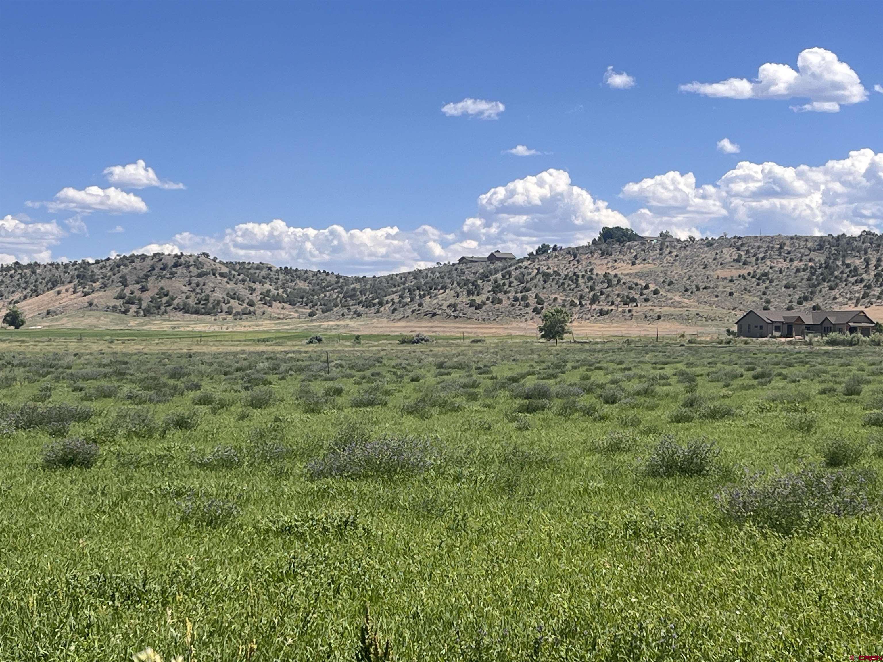 Tbd 50-ac Tract Solar Road Montrose, CO 81403 - Photo 9 of 19