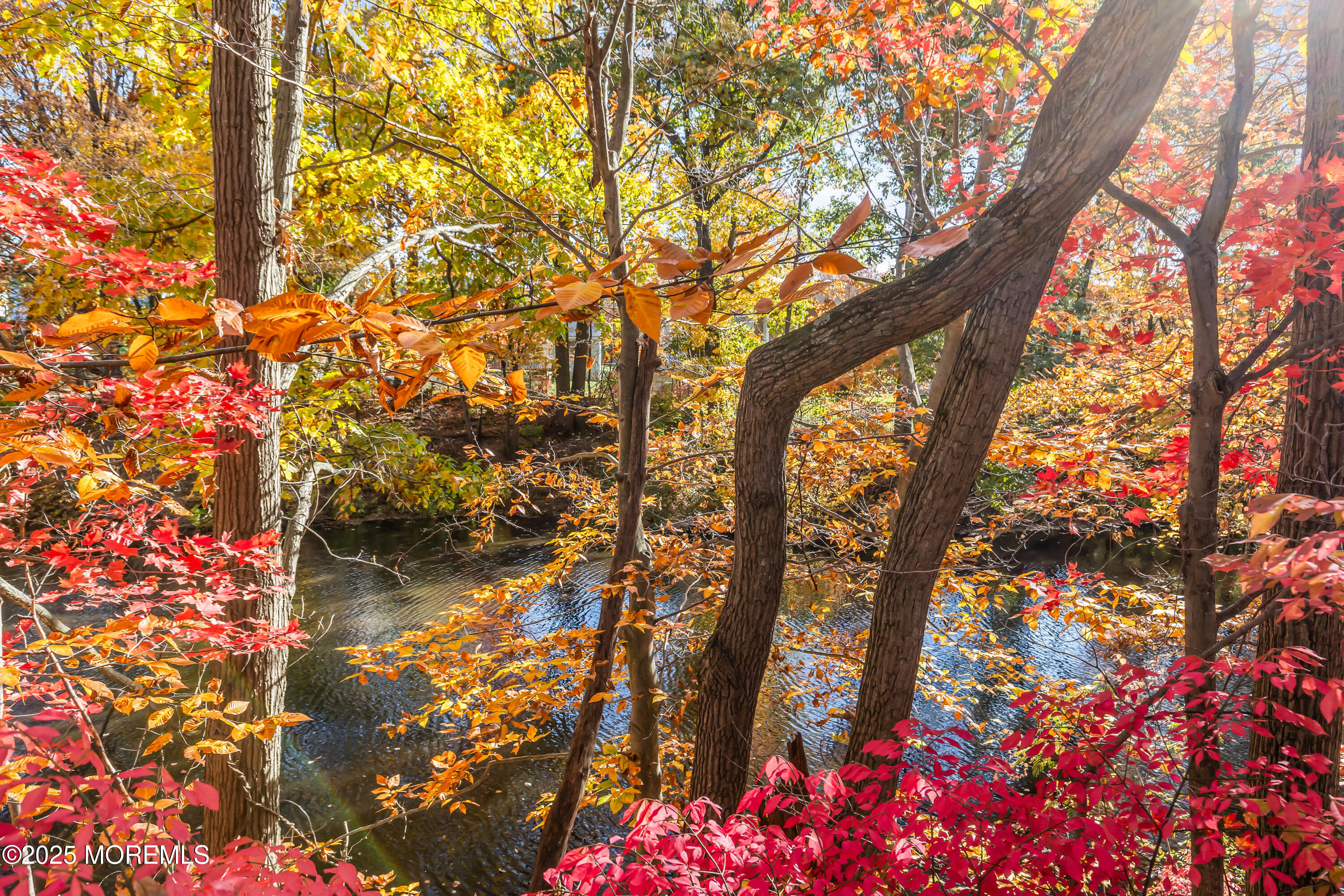 5 Indiana Court, Unit A Matawan, NJ 07747 - Photo 28 of 32 a picture of tree