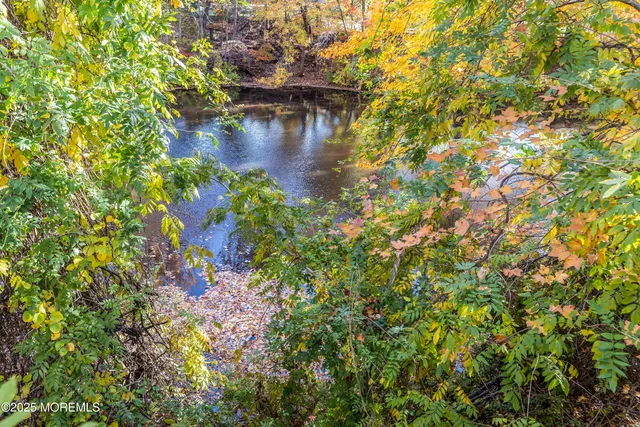 a view of a lake with a tree