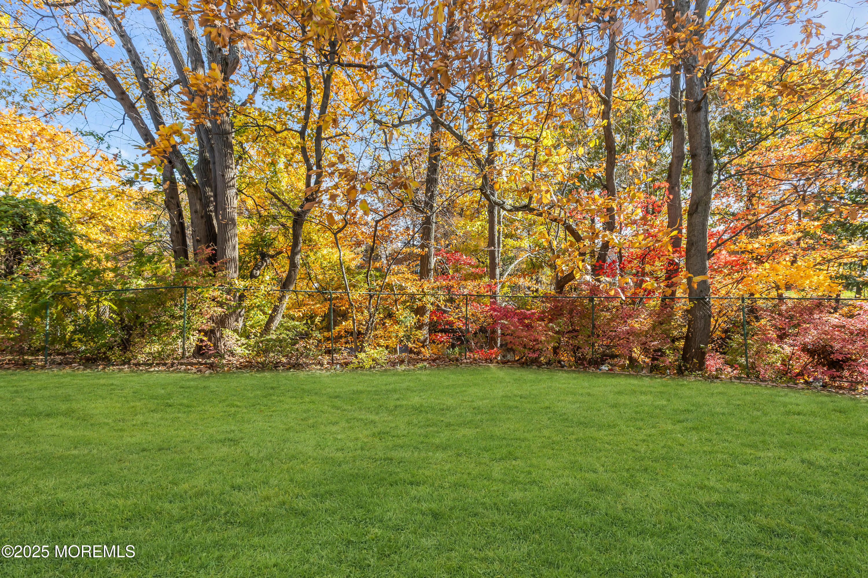 5 Indiana Court, Unit A Matawan, NJ 07747 - Photo 30 of 32 a view of yard with trees