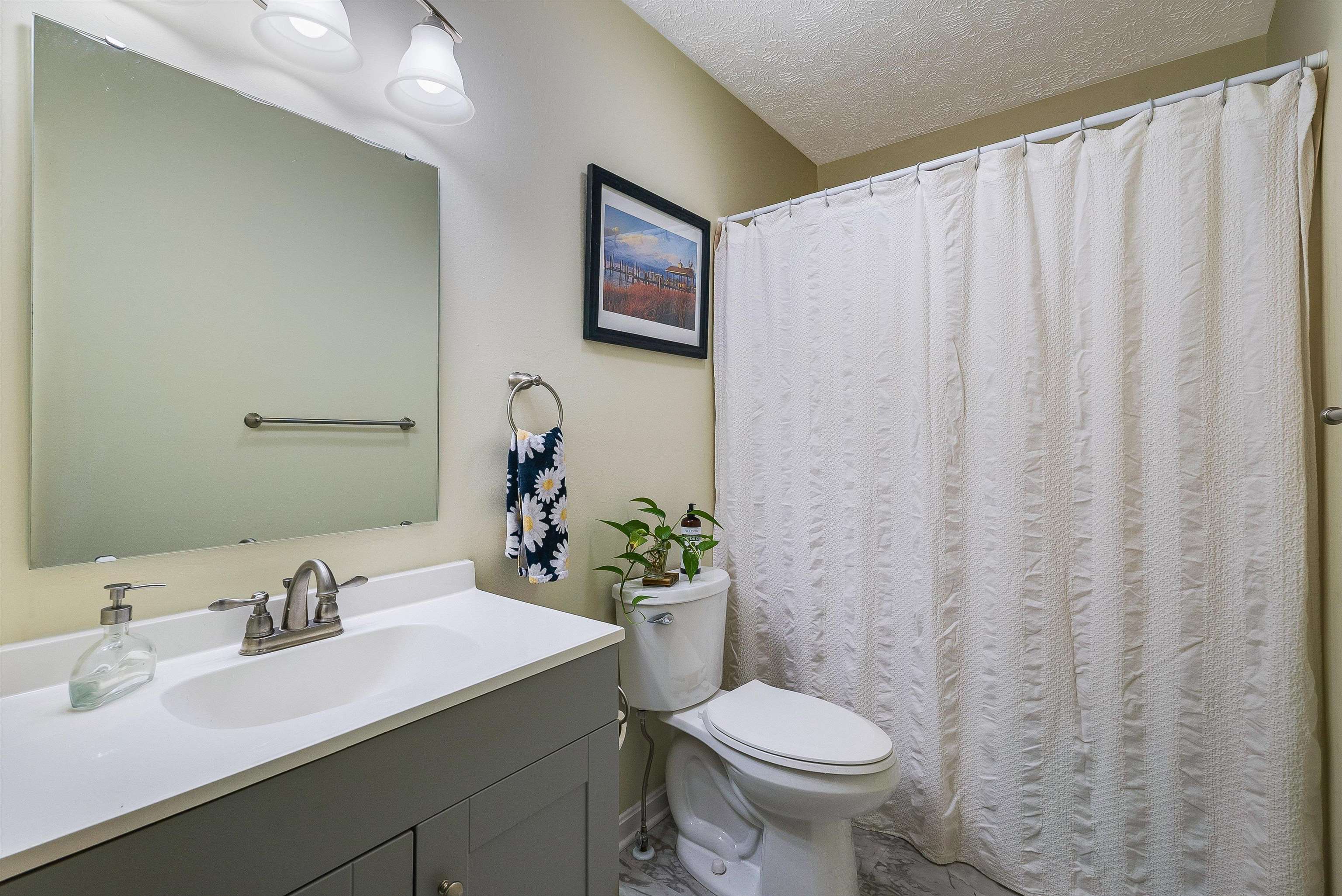 100 Olive Street Staunton, VA 24401 - Photo 18 of 48 a bathroom with a sink toilet and a mirror