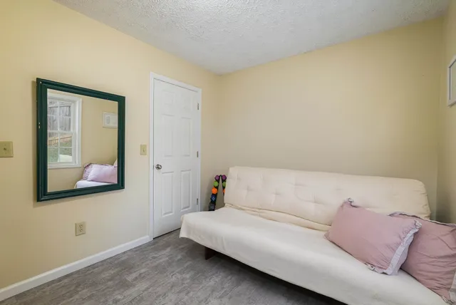 a view of a yard with large trees