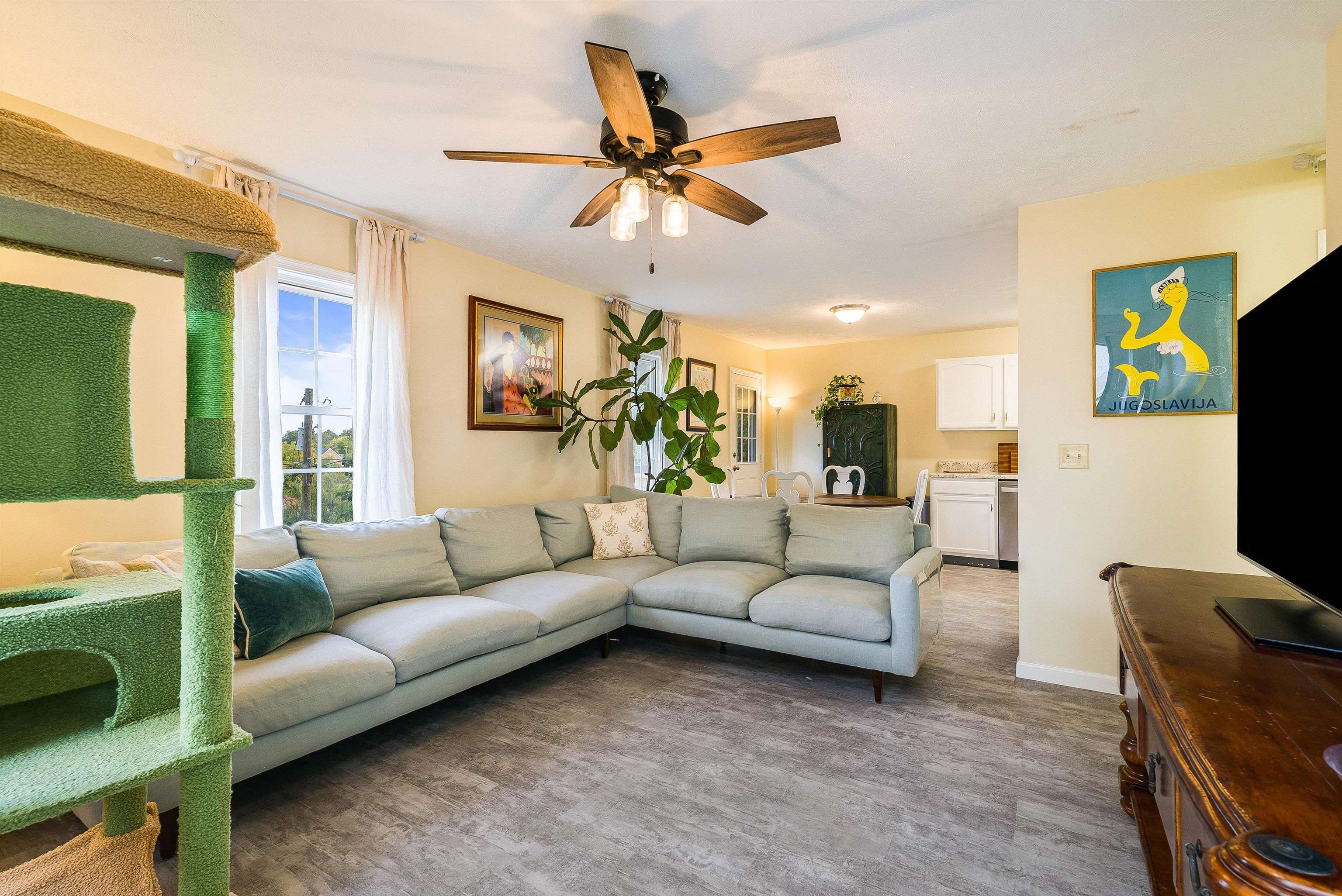 100 Olive Street Staunton, VA 24401 - Photo 5 of 48 a living room with furniture and a flat screen tv