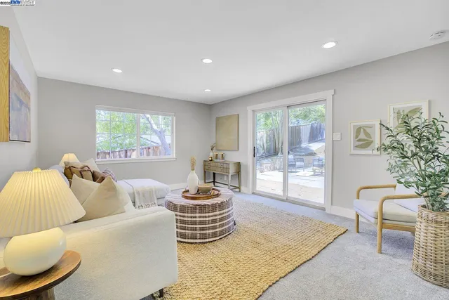 a living room with furniture and a potted plant