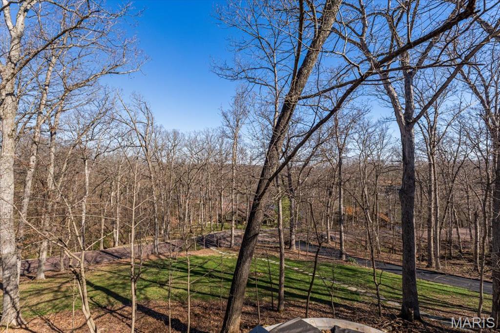 1645 Trotting Trail Road Clarkson Valley, MO 63005 - Photo 60 of 63