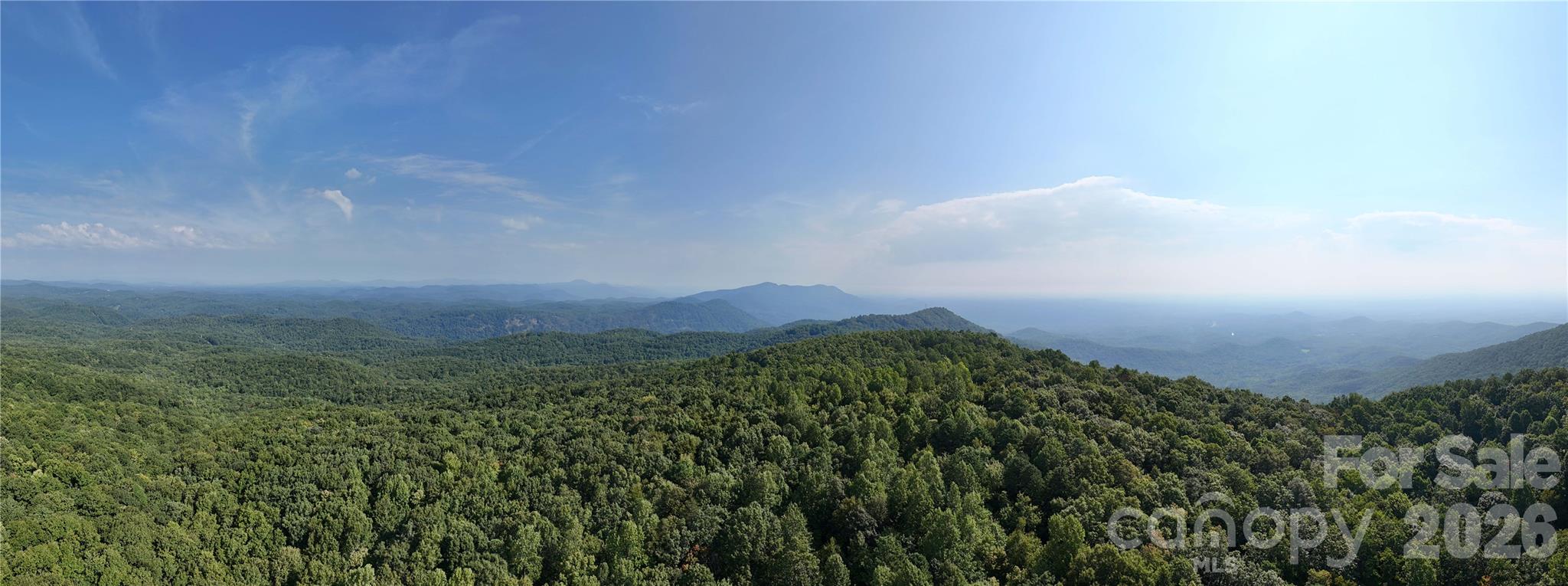 Lot 1 Hogback Mountain Road, Unit 1 Tryon, NC 28782 - Photo 3 of 22 Gallery Image 3