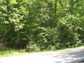 0 Government Road Bristol, TN 37620 - Photo 1 of 1 Photo 1