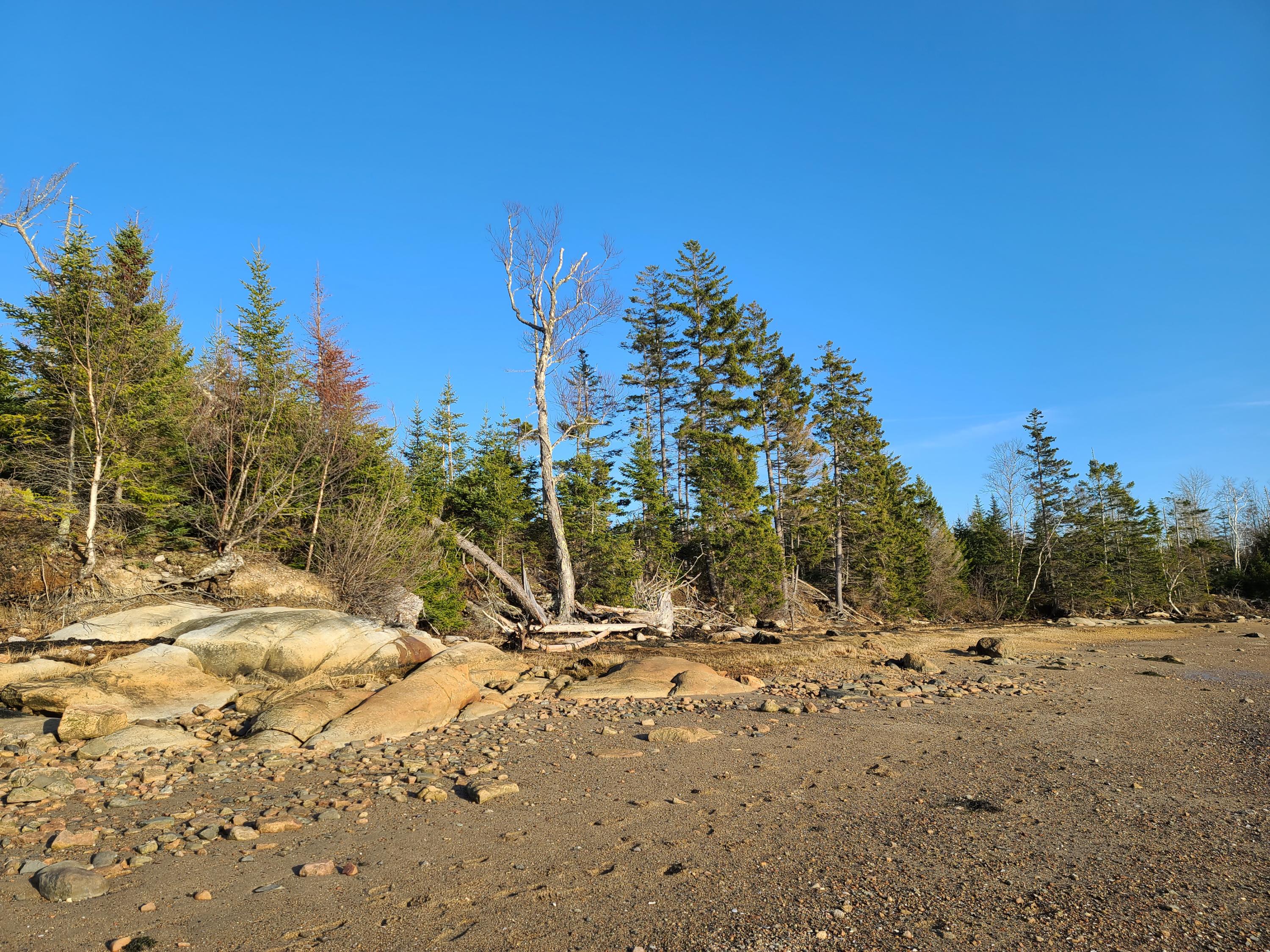 32 Peninsula Shores Road Corea, ME 04624 - Photo 4 of 23 Shorefront