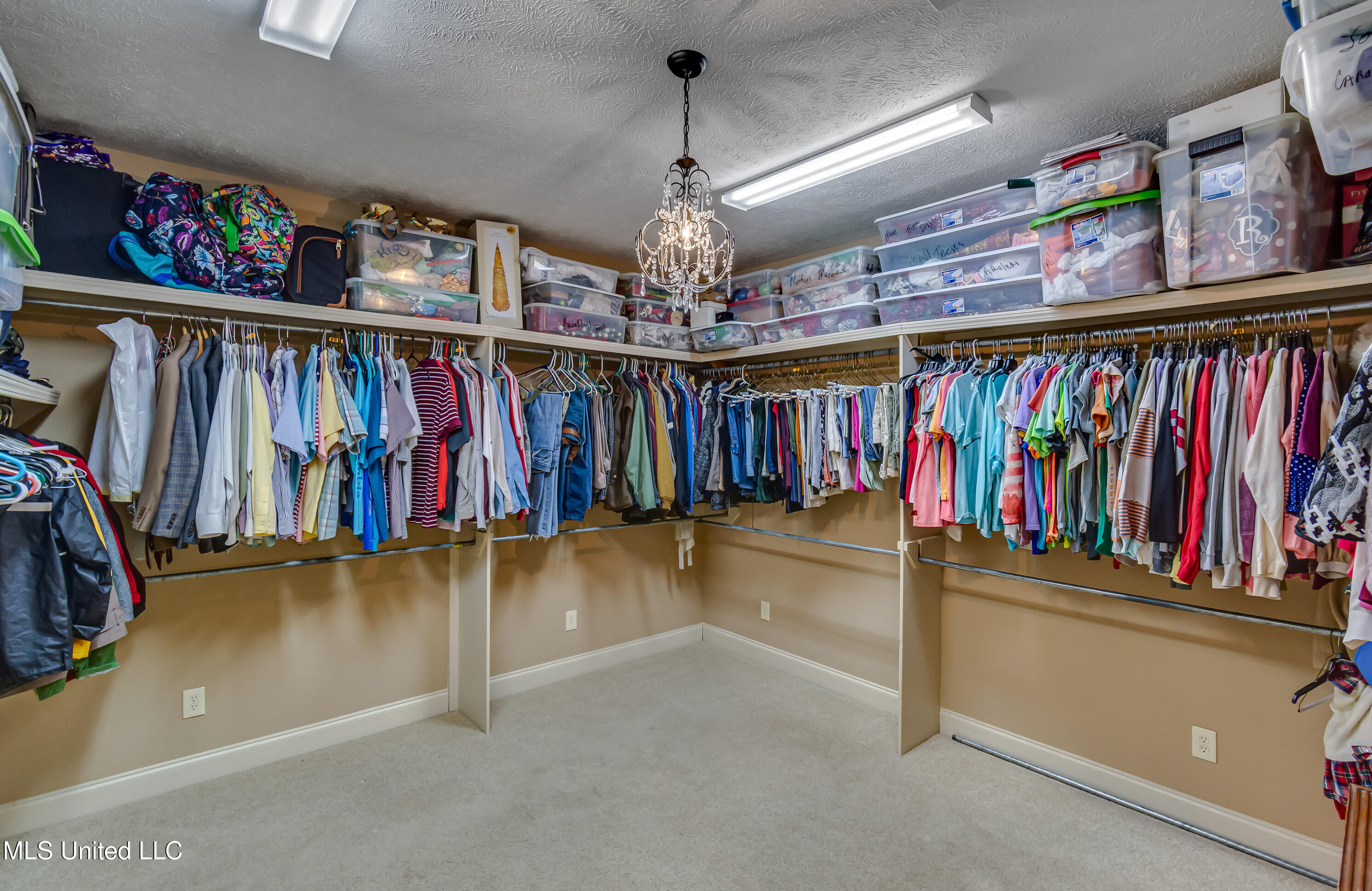 425 Turtle Lane Brandon, MS 39047 - Photo 45 of 71 425 Turtle Ln int-48