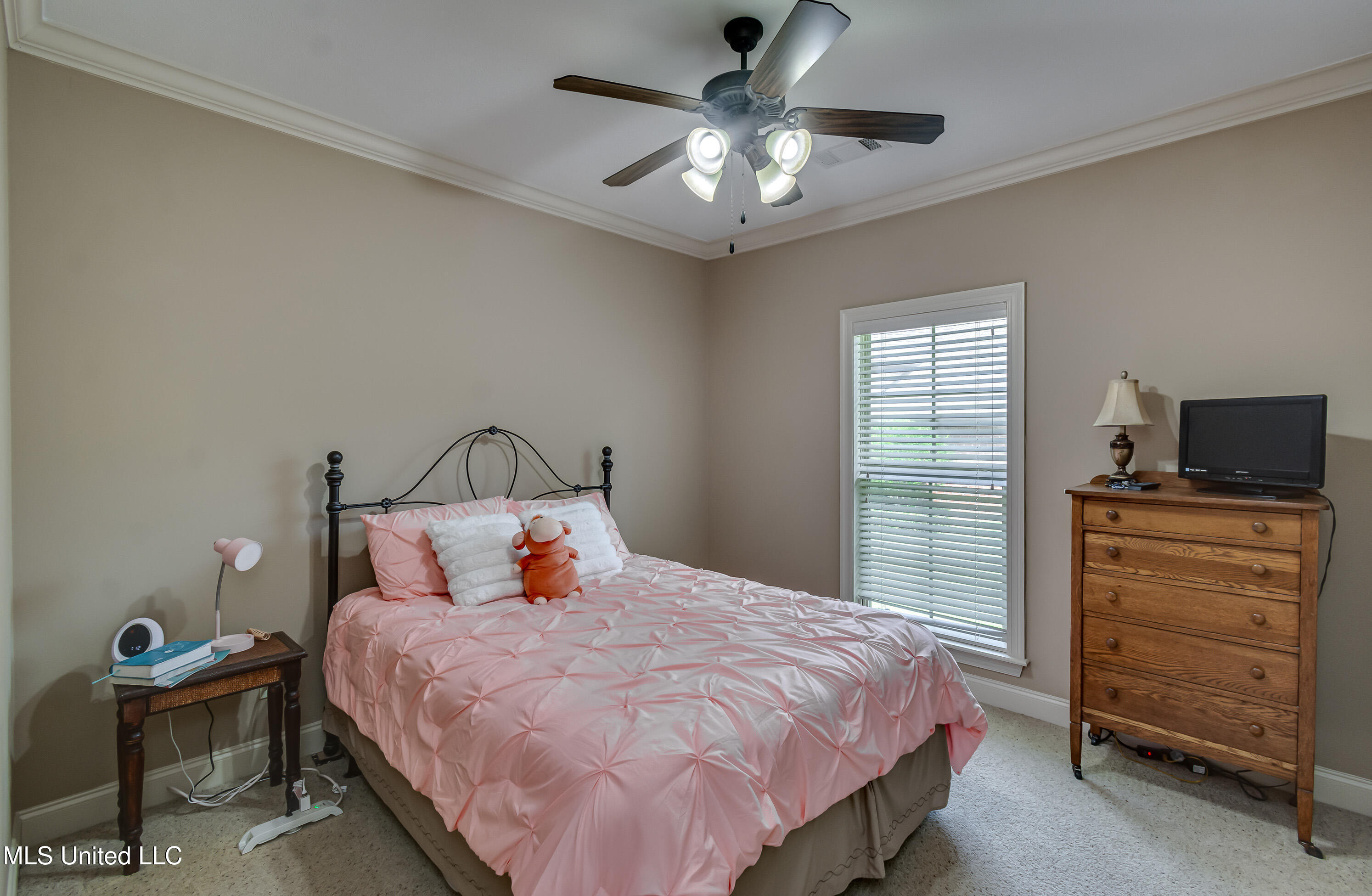 425 Turtle Lane Brandon, MS 39047 - Photo 48 of 71 425 Turtle Ln int-29