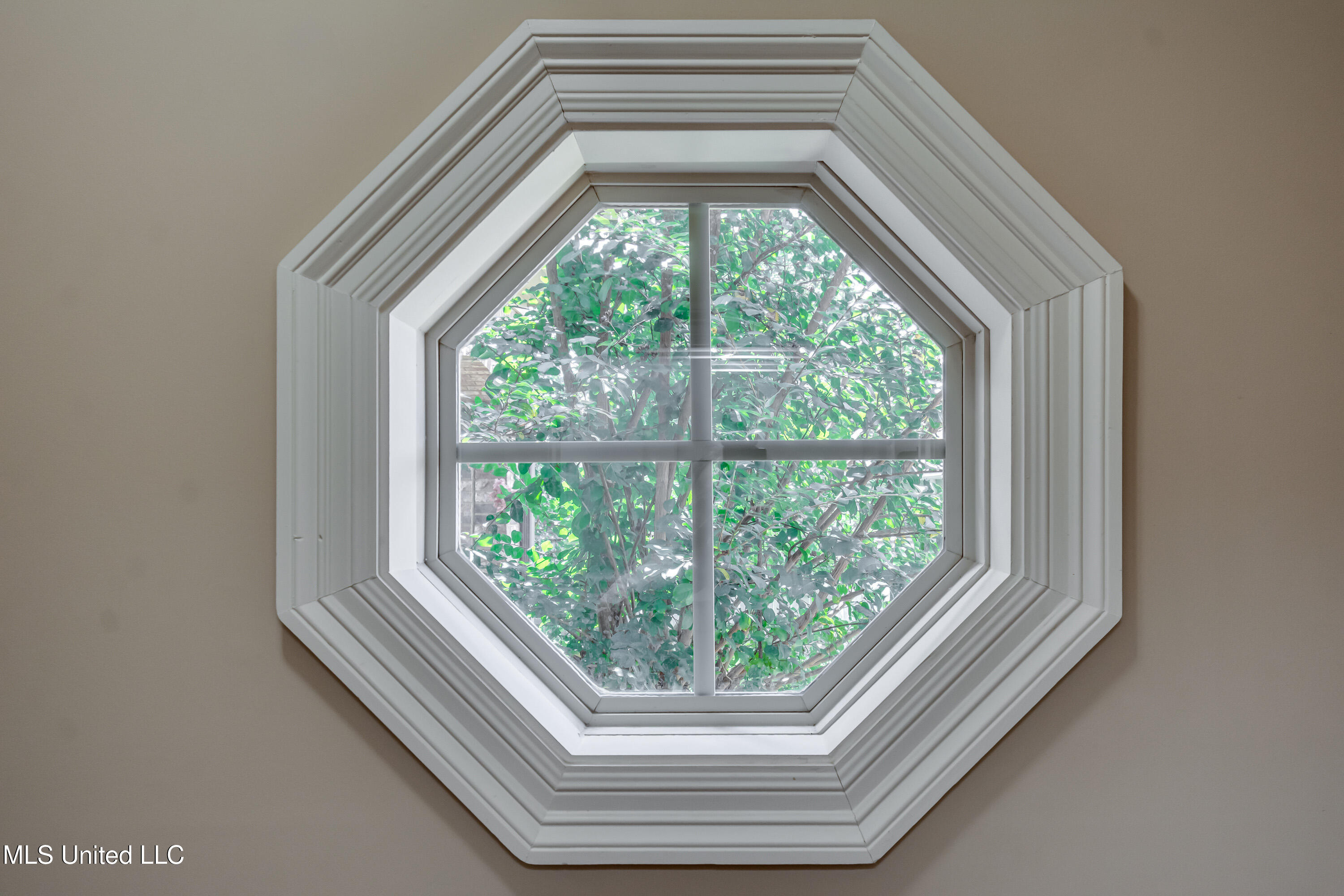 425 Turtle Lane Brandon, MS 39047 - Photo 62 of 71 425 Turtle Ln int-58