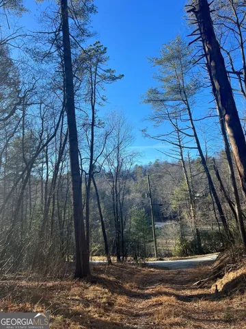 $109,900 | 0 Sylvan Lake Drive, Unit 47 48, Rabun Gap, GA 30568