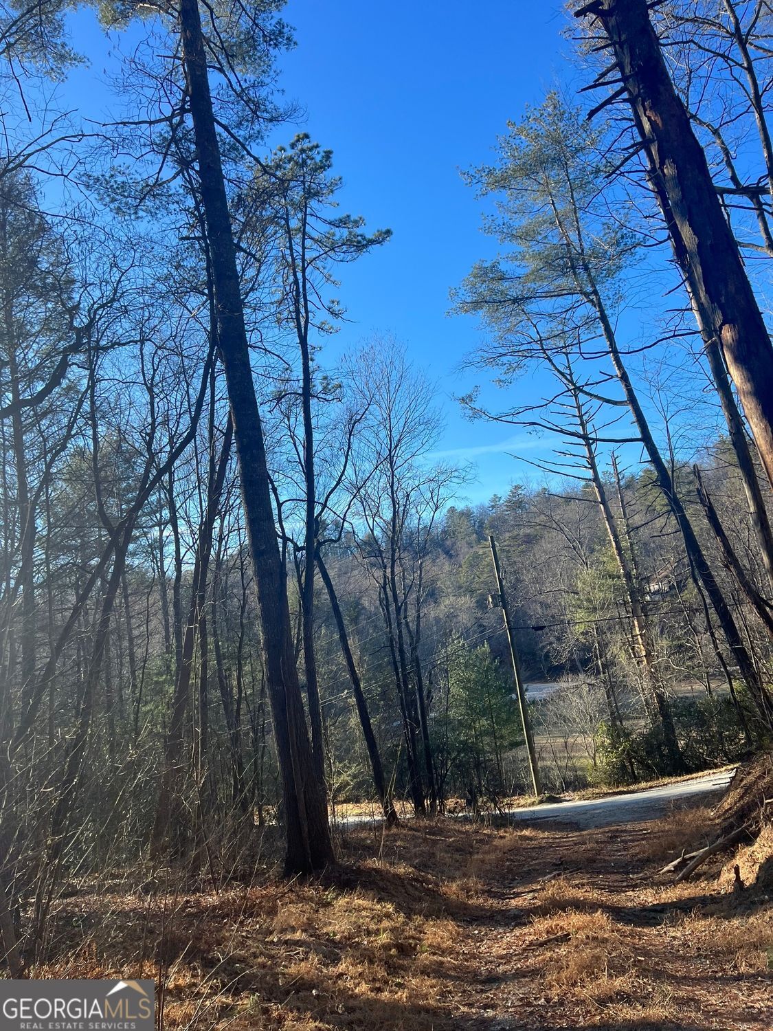 0 Sylvan Lake Drive, Unit 47 48 Rabun Gap, GA 30568 - Photo 4 of 12