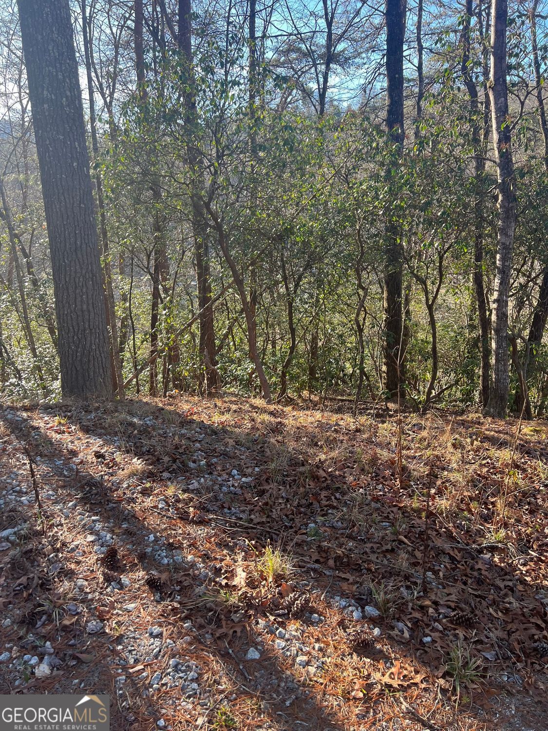 0 Sylvan Lake Drive, Unit 47 48 Rabun Gap, GA 30568 - Photo 6 of 12