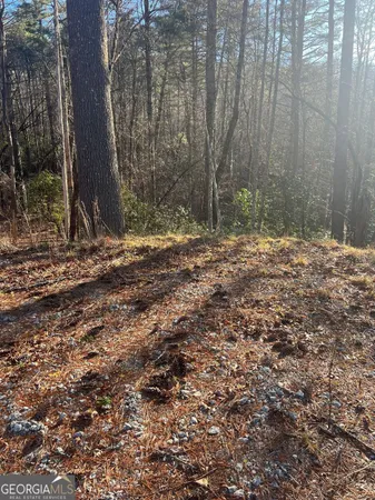 $109,900 | 0 Sylvan Lake Drive, Unit 47 48, Rabun Gap, GA 30568