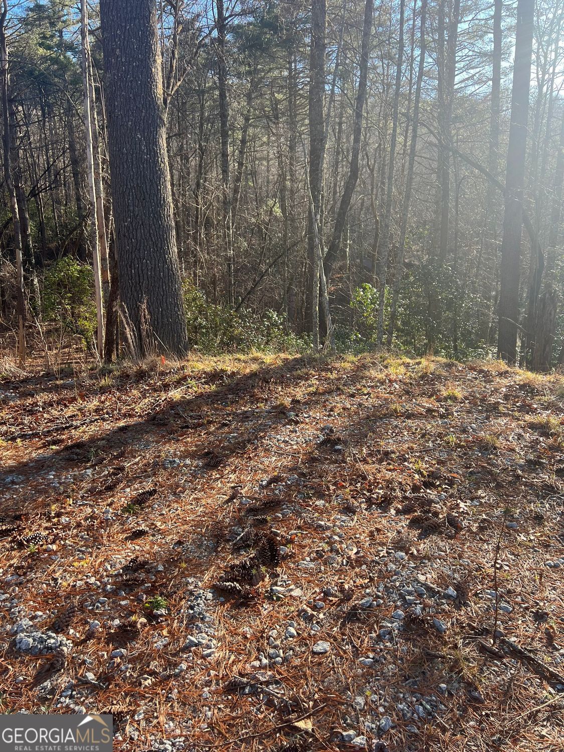 0 Sylvan Lake Drive, Unit 47 48 Rabun Gap, GA 30568 - Photo 7 of 12